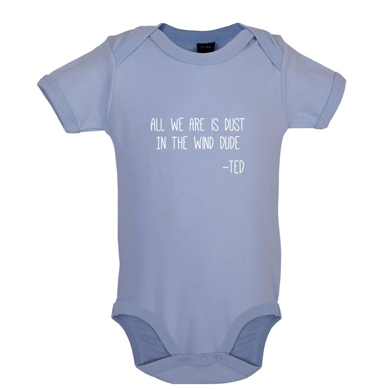 All We Are Is Dust In The Wind Dude Baby T Shirt