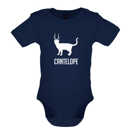 Cantelope Baby T Shirt