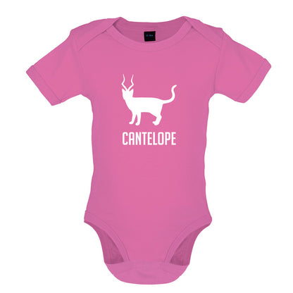 Cantelope Baby T Shirt