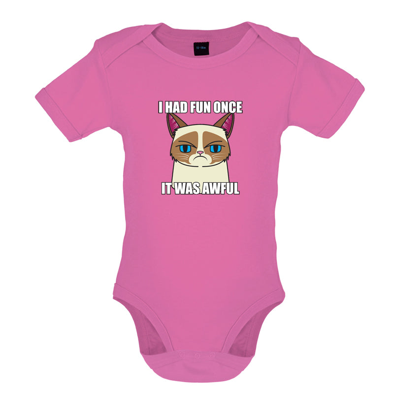 I had fun once - It was awful Baby T Shirt