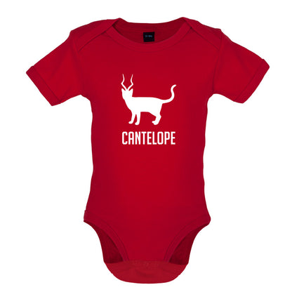 Cantelope Baby T Shirt