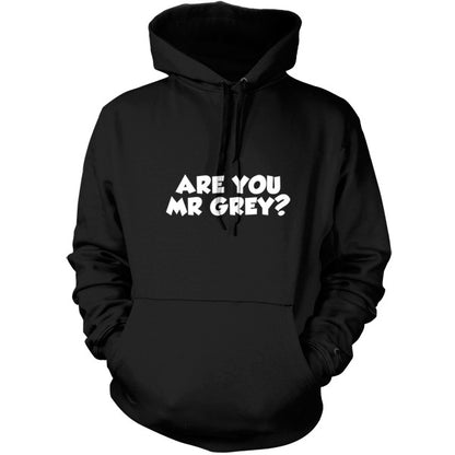 Are You Mr Grey T Shirt