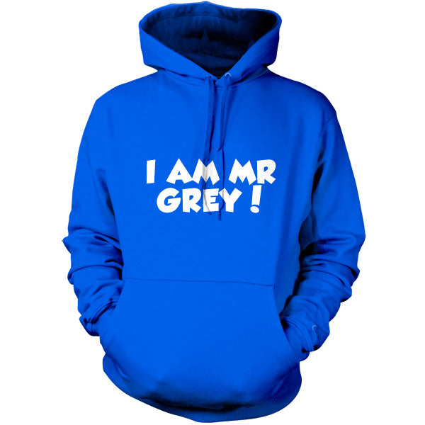 I Am Mr Grey T Shirt