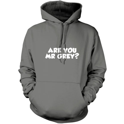 Are You Mr Grey T Shirt