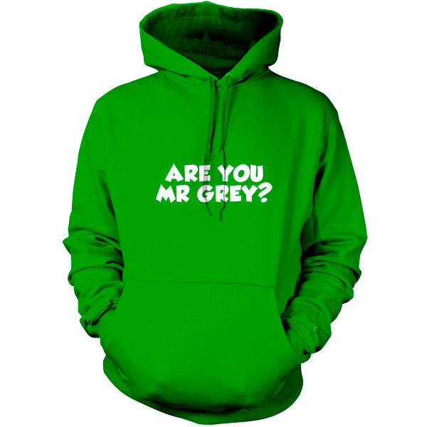 Are You Mr Grey T Shirt