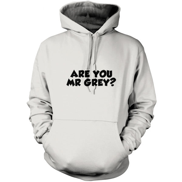 Are You Mr Grey T Shirt