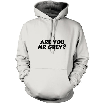 Are You Mr Grey T Shirt