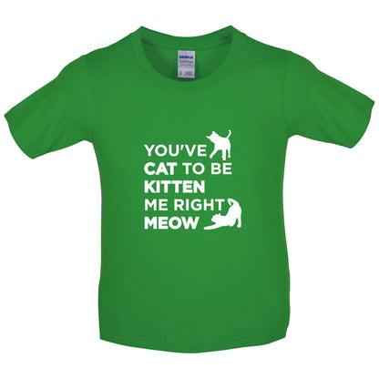 You've Cat To Be Kitten Me Right Meow Kids T Shirt