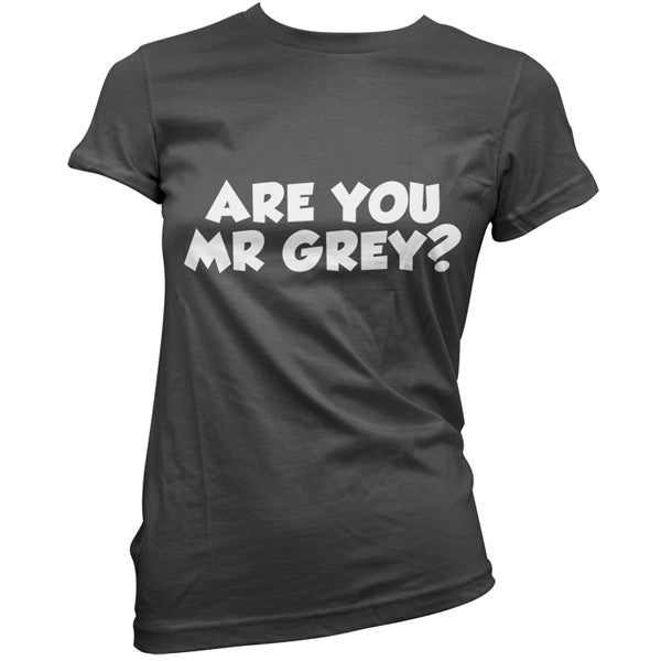 Are You Mr Grey T Shirt