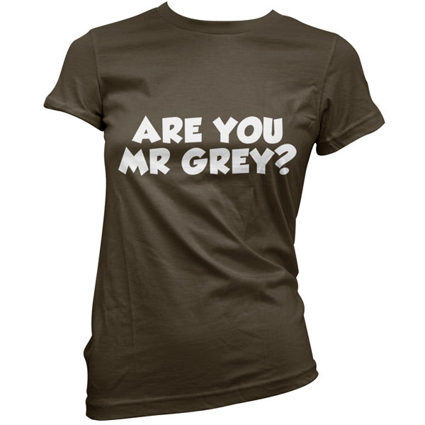 Are You Mr Grey T Shirt