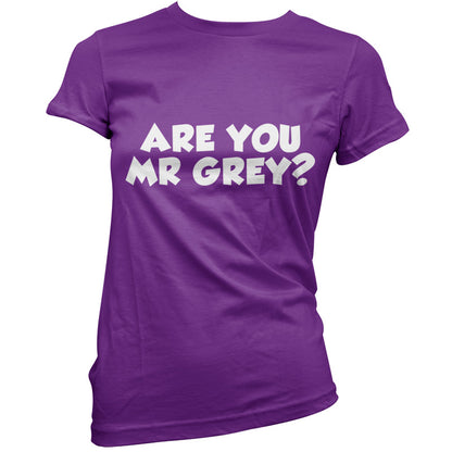 Are You Mr Grey T Shirt