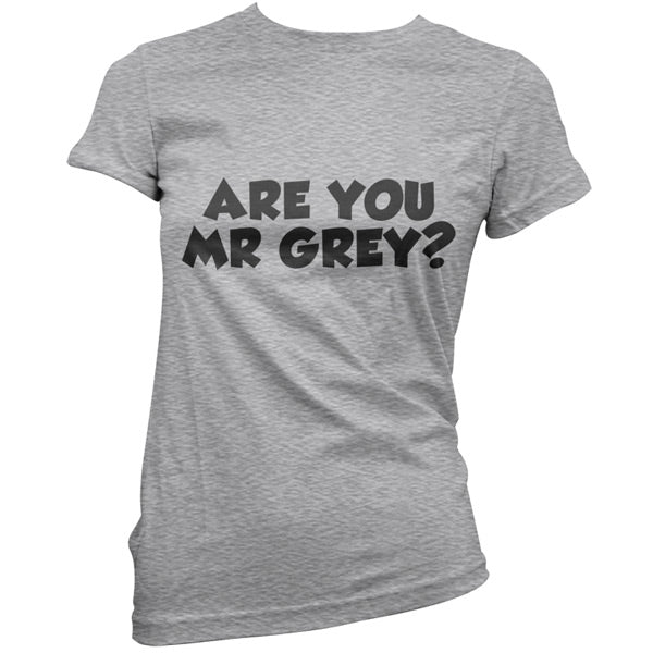 Are You Mr Grey T Shirt