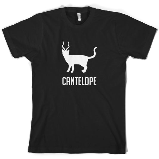 Cantelope T Shirt