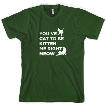 You've Cat To Be Kitten Me Right Meow T Shirt