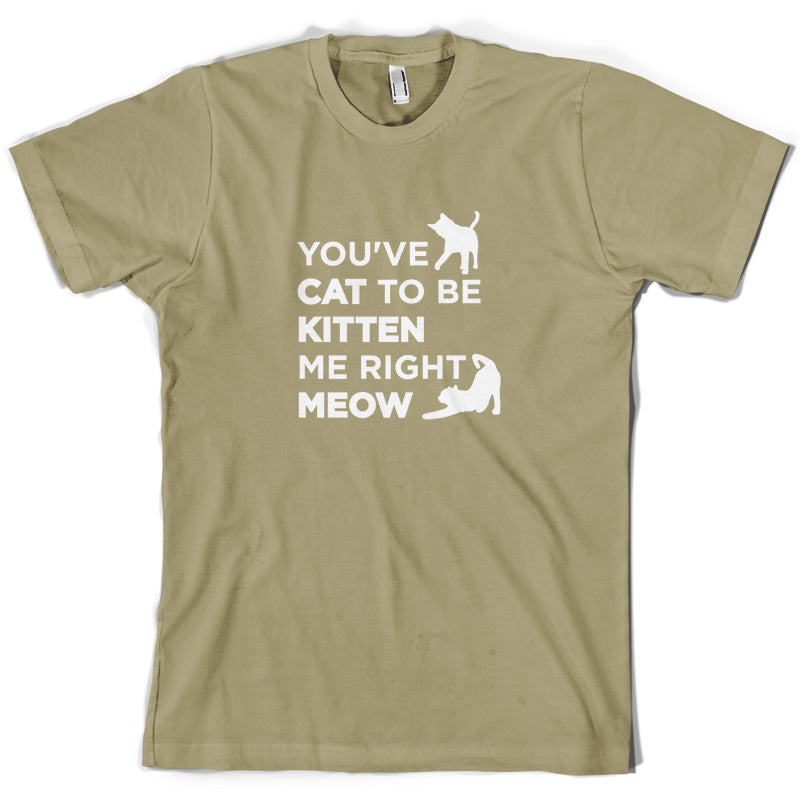 You've Cat To Be Kitten Me Right Meow T Shirt