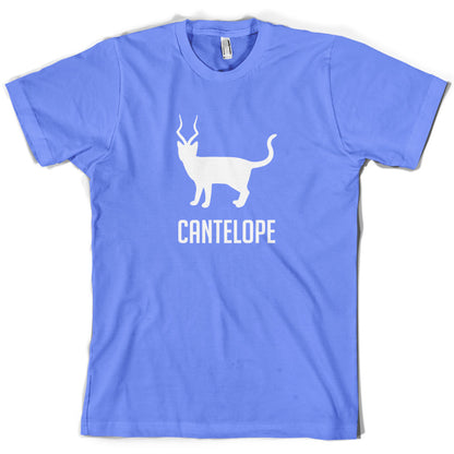 Cantelope T Shirt