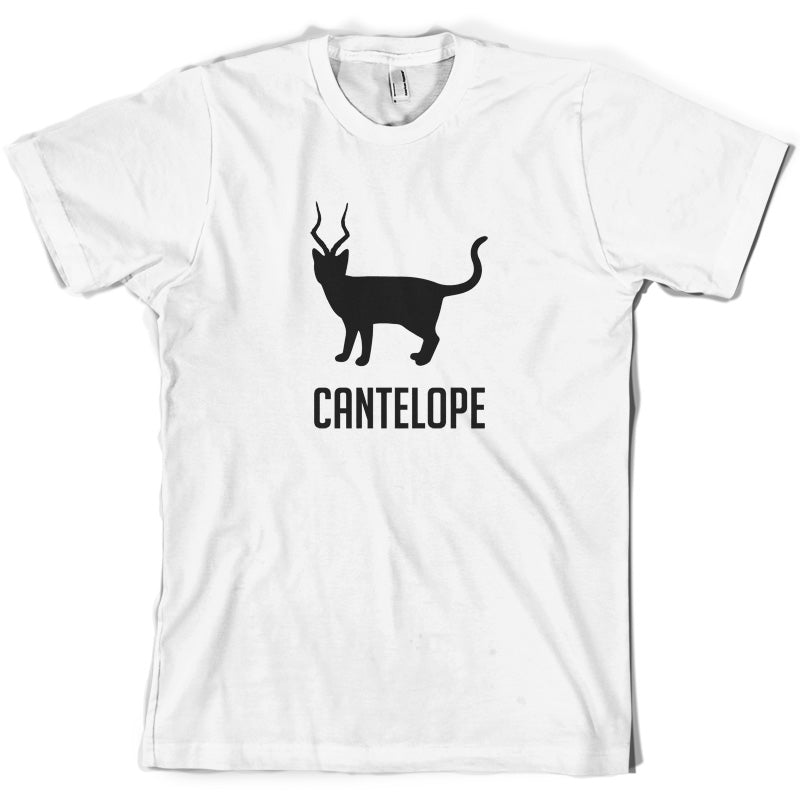 Cantelope T Shirt