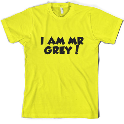I Am Mr Grey T Shirt