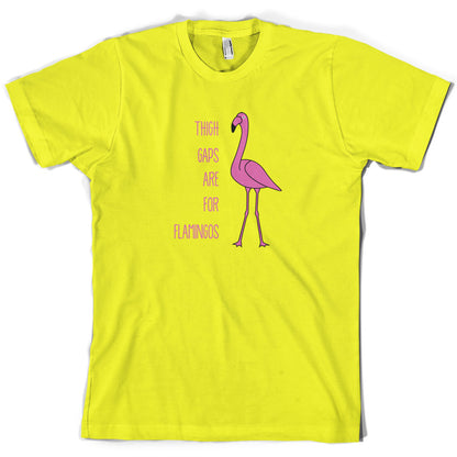 Thigh Gaps Are For Flamingos T Shirt