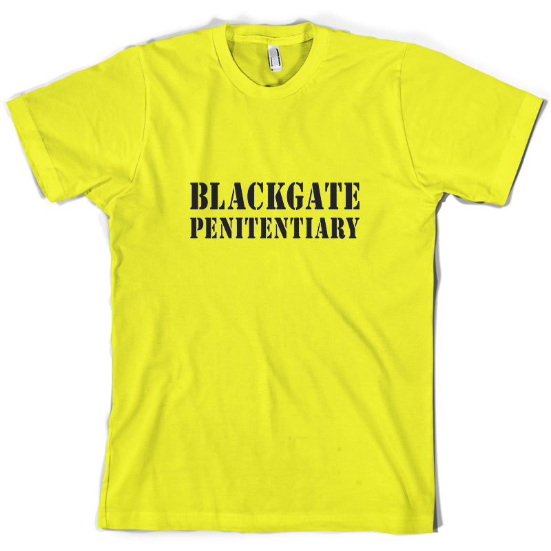 Blackgate Penitentiary T Shirt