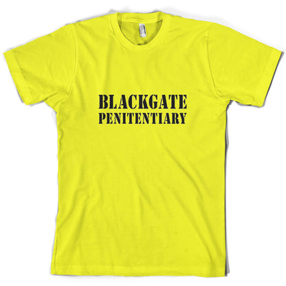 Blackgate Penitentiary T Shirt