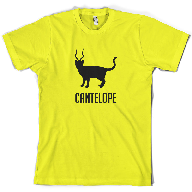 Cantelope T Shirt