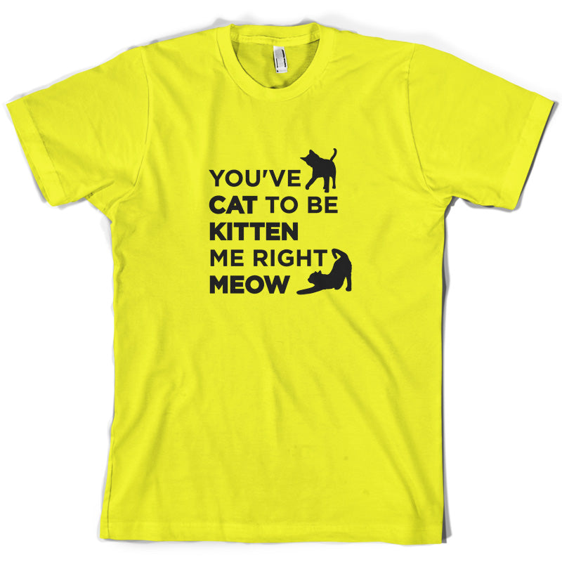 You've Cat To Be Kitten Me Right Meow T Shirt