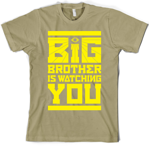 Big Brother Is Watching You T Shirt