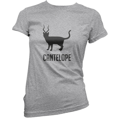 Cantelope T Shirt